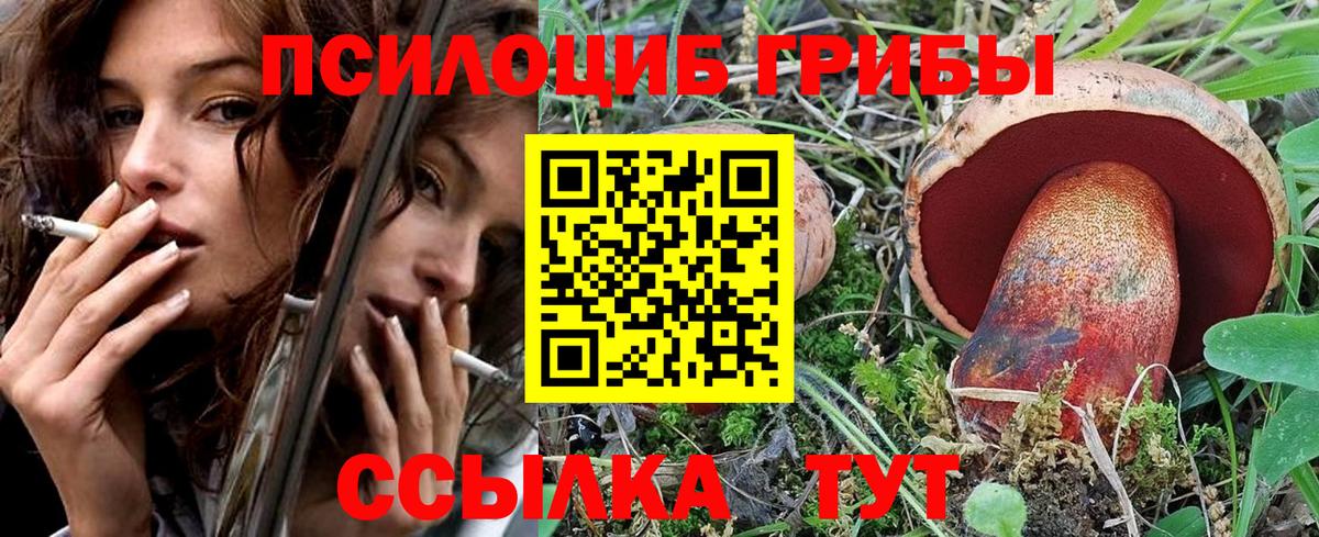 Галлюциногенные грибы мицелий Вышний Волочёк